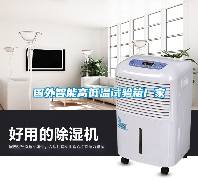 國(guó)外智能高低溫試驗(yàn)箱廠(chǎng)家