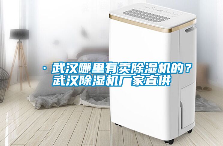 ·武漢哪里有賣除濕機的？武漢除濕機廠家直供