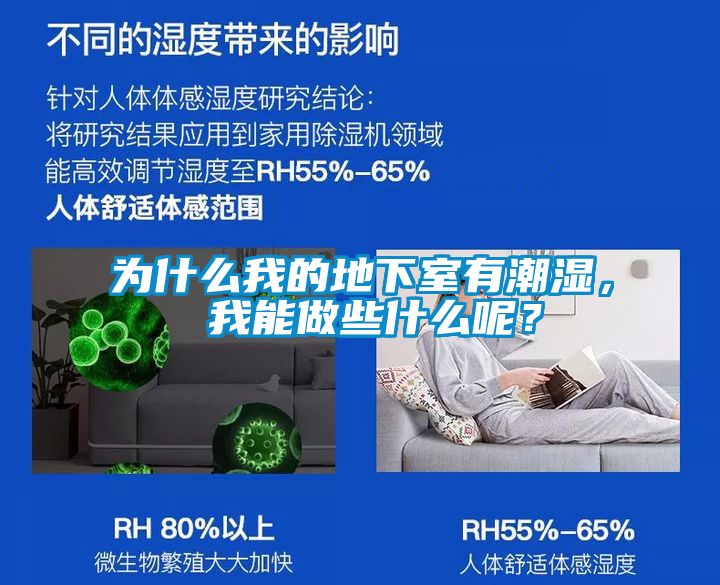 為什么我的地下室有潮濕， 我能做些什么呢？