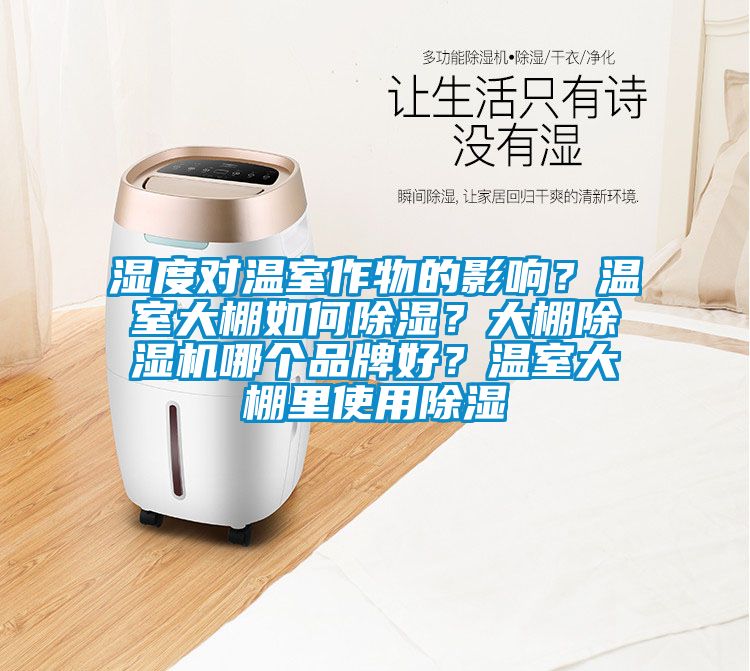 濕度對溫室作物的影響？溫室大棚如何除濕？大棚除濕機哪個品牌好？溫室大棚里使用除濕