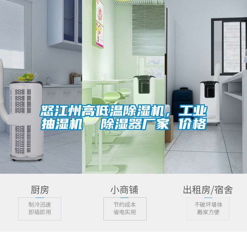 怒江州高低溫除濕機(jī)，工業(yè)抽濕機(jī)  除濕器廠家 價(jià)格
