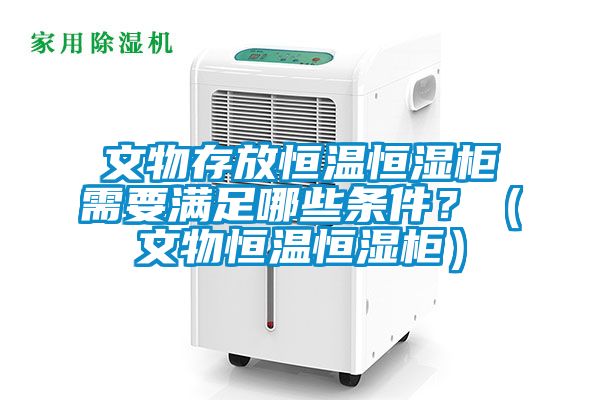 文物存放恒溫恒濕柜需要滿足哪些條件？（文物恒溫恒濕柜）