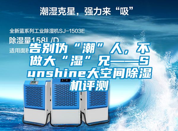 告別偽“潮”人，不做大“濕”兄——Sunshine大空間除濕機評測