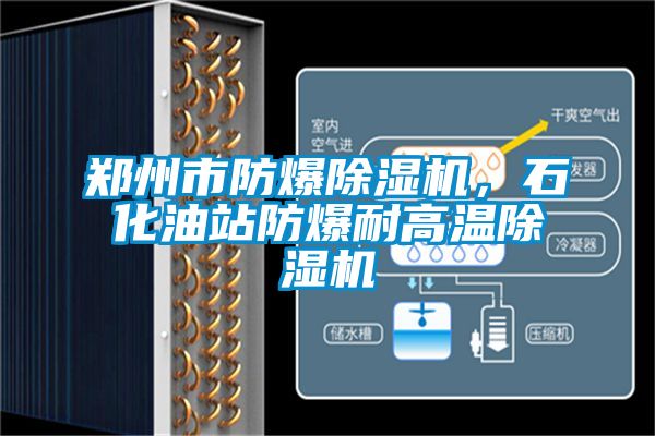 鄭州市防爆除濕機，石化油站防爆耐高溫除濕機