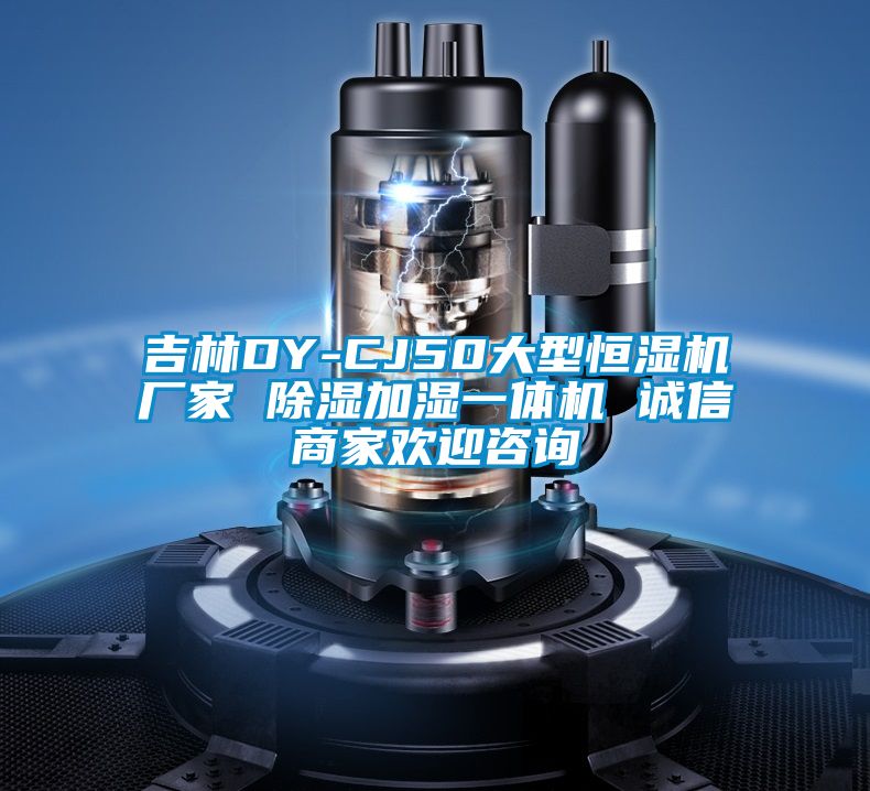 吉林DY-CJ50大型恒濕機(jī)廠家 除濕加濕一體機(jī) 誠(chéng)信商家歡迎咨詢(xún)