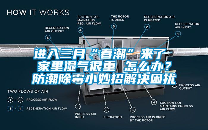 進入三月“春潮”來了 家里濕氣很重 怎么辦？防潮除霉小妙招解決困擾